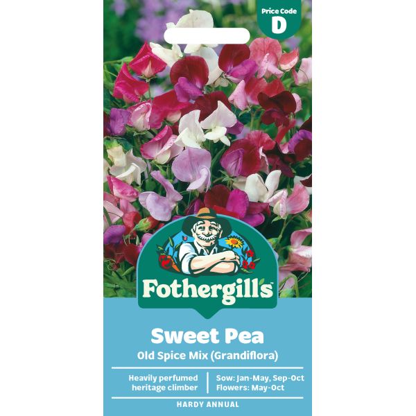 Sweet Pea Old Spice Seeds