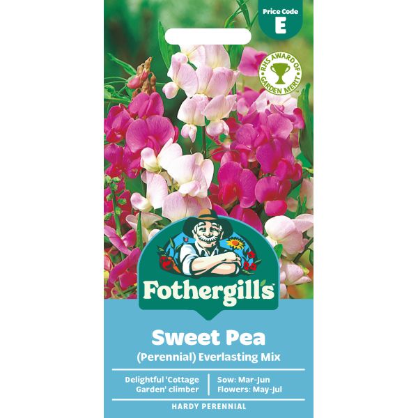 Sweet Pea Everlasting Seeds