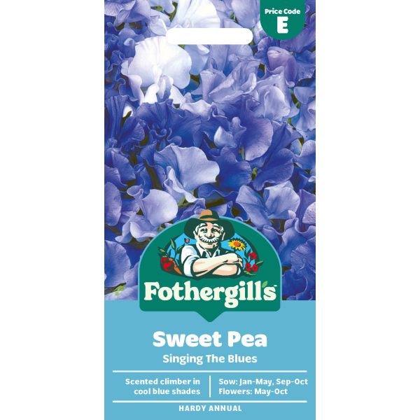 Sweet Pea Singing Blues Seeds