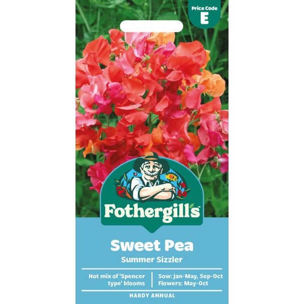Sweet Pea Summer Sizzler Seeds