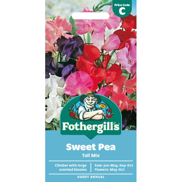 Sweet Pea Tall Mixed Seeds