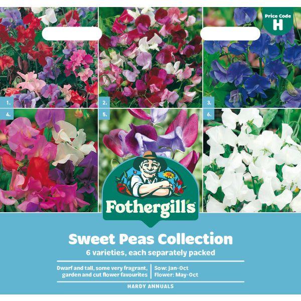 Sweet Pea Seed Collection
