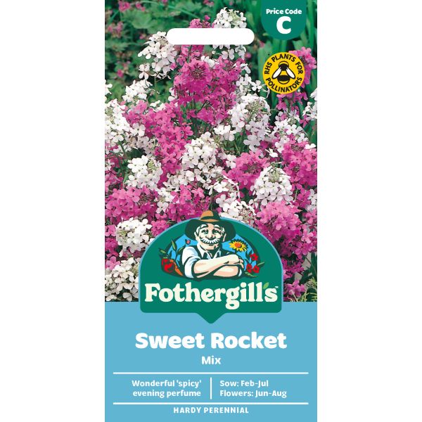 Sweet Rocket Seeds