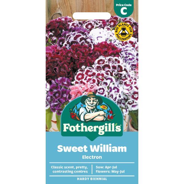 Sweet William Electron Seeds