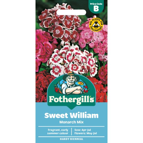Sweet William Monarch Mixed Seeds
