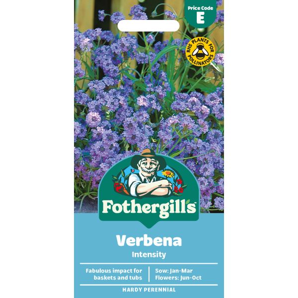 Verbena Intensity Seeds