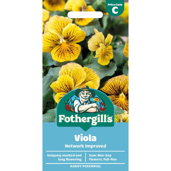 Viola Network Improved Flower Seeds
