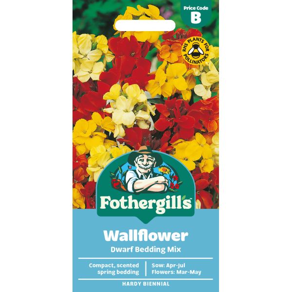 Wallflower Dwarf Bedding