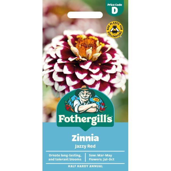 Zinnia Jazzy Red Flower Seeds