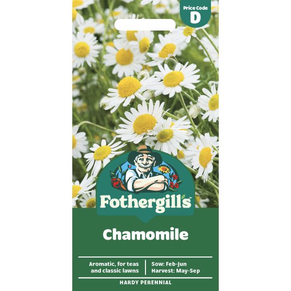 chamomile flower seeds for sale Chamomile Seeds from Mr Fothergill's Seeds and Plants