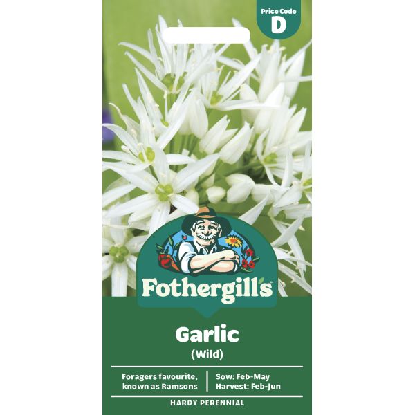 Garlic (Wild) Seeds