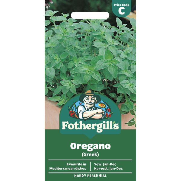Oregano Greek Seeds