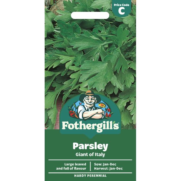 Parsley Giant of Italy Seeds