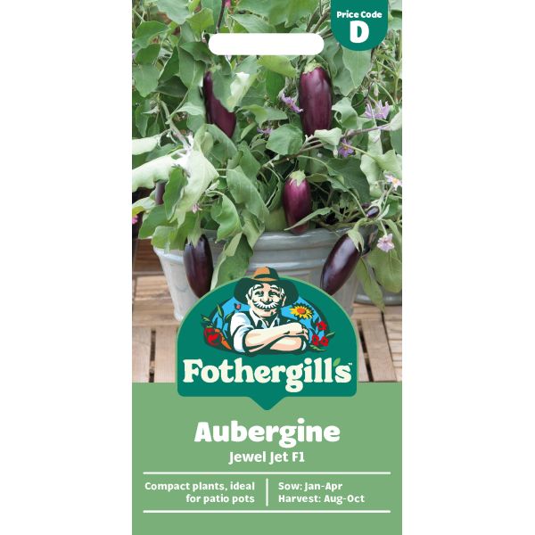 Aubergine Jewel Jet F1 Seeds
