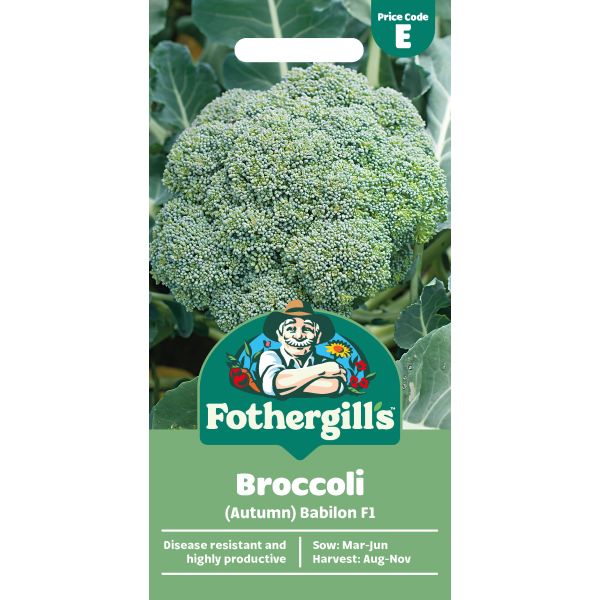 Broccoli Babilon F1 Seeds