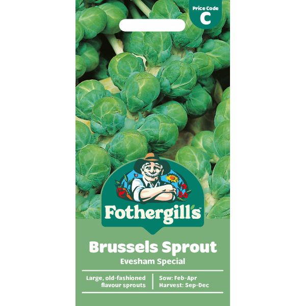 Brussels Sprout Evesham Special Seeds