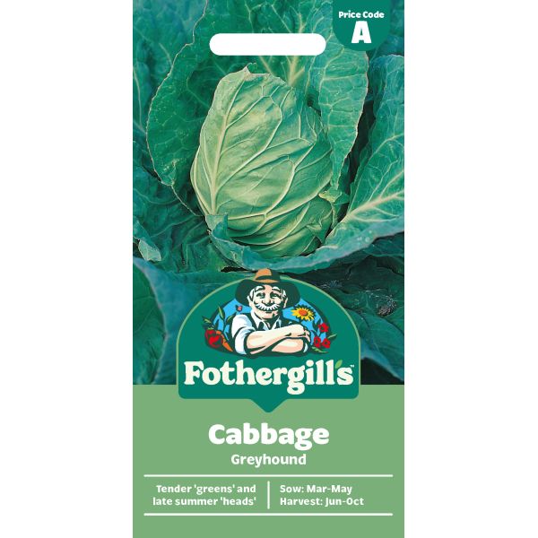 Cabbage Greyhound Seeds