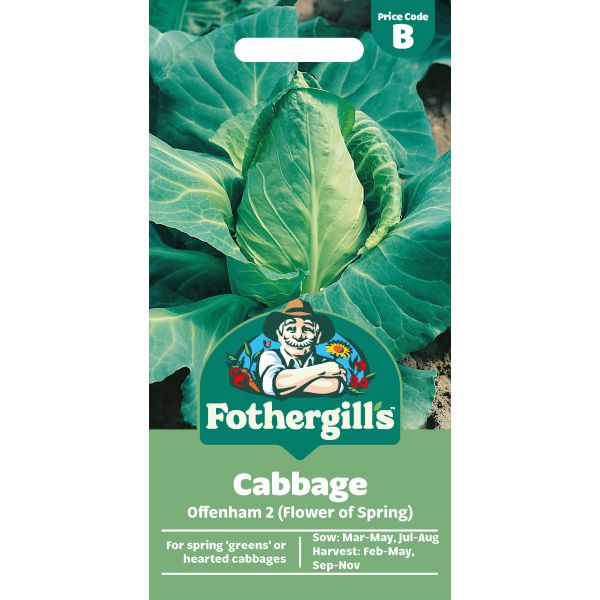 Cabbage Offenham 2 Seeds