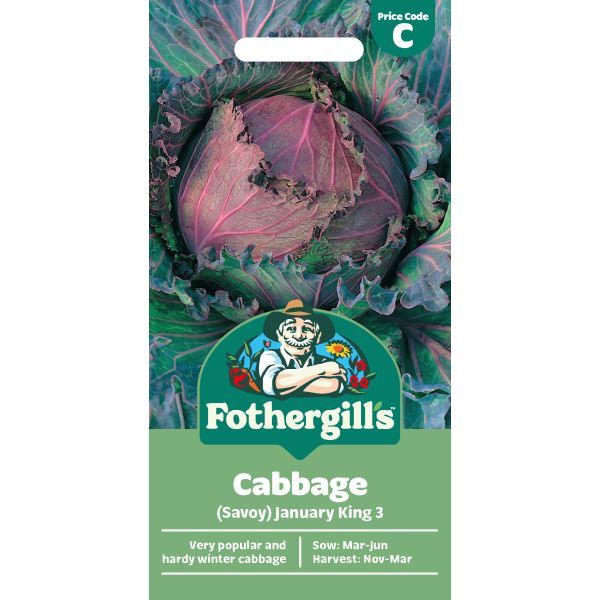 Cabbage January King 3 Seeds