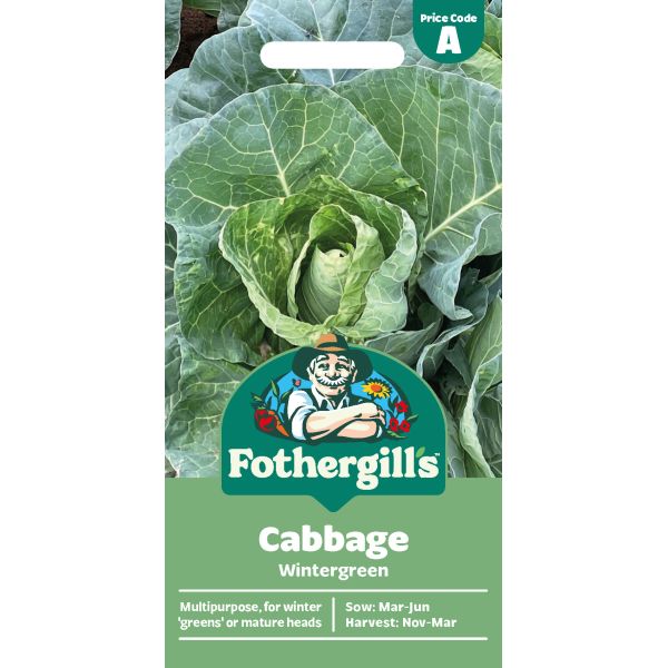 Fothergills cabbage seed packet with a green background