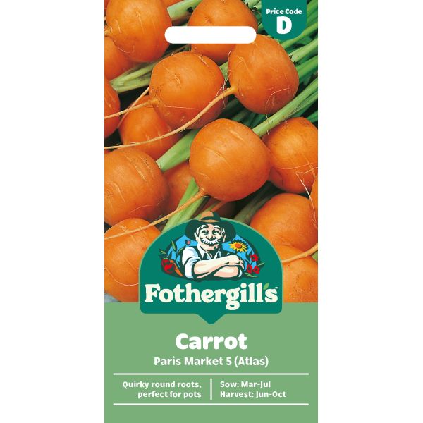 Carrot Paris Market 5 Atlas Seeds