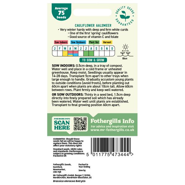 Cauliflower Aalsmeer Seeds