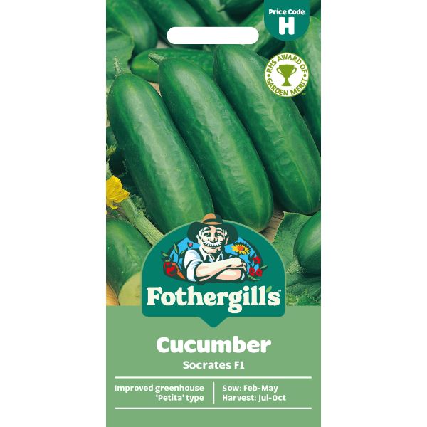 Cucumber Socrates F1 Seeds