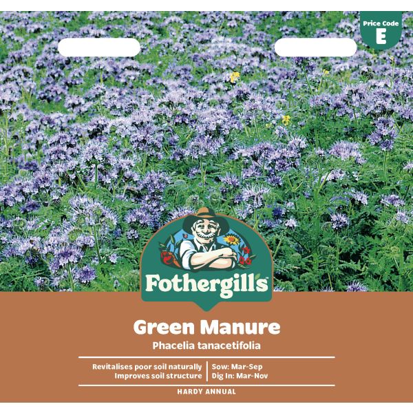 Phacelia Green Manure Tanacetifolia