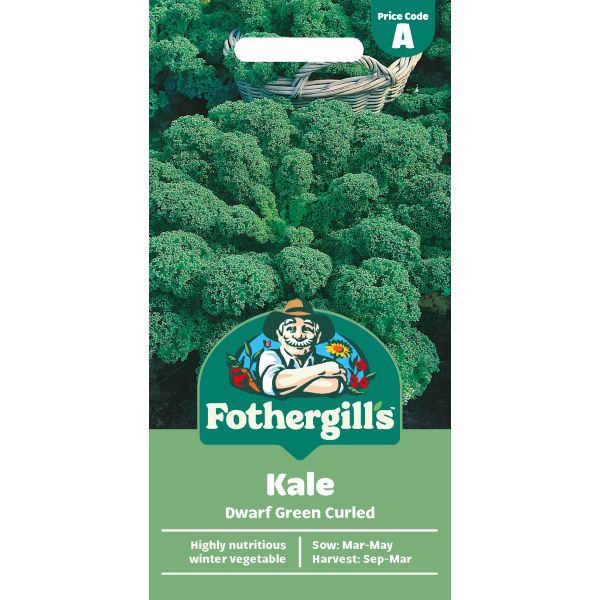 Kale Dwarf Green Curled Seeds