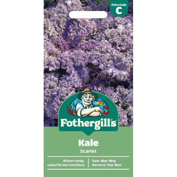 Kale Curly Scarlet Seeds