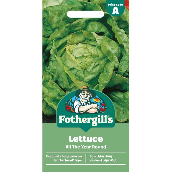 Lettuce All The Year Round Seeds