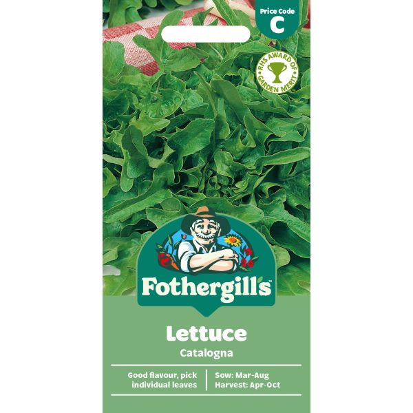 Lettuce Catalogna Seeds