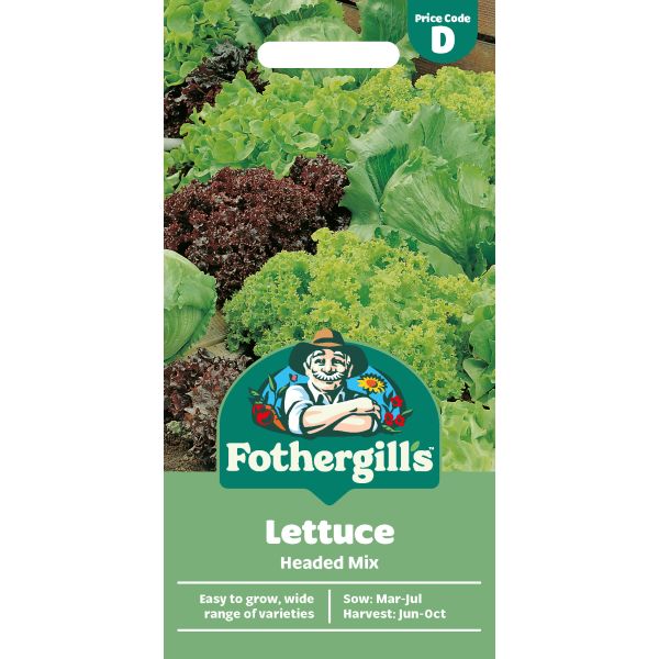 Lettuce Headed Seeds
