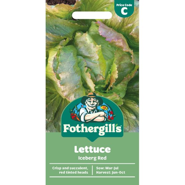 Lettuce Iceberg Red Seeds