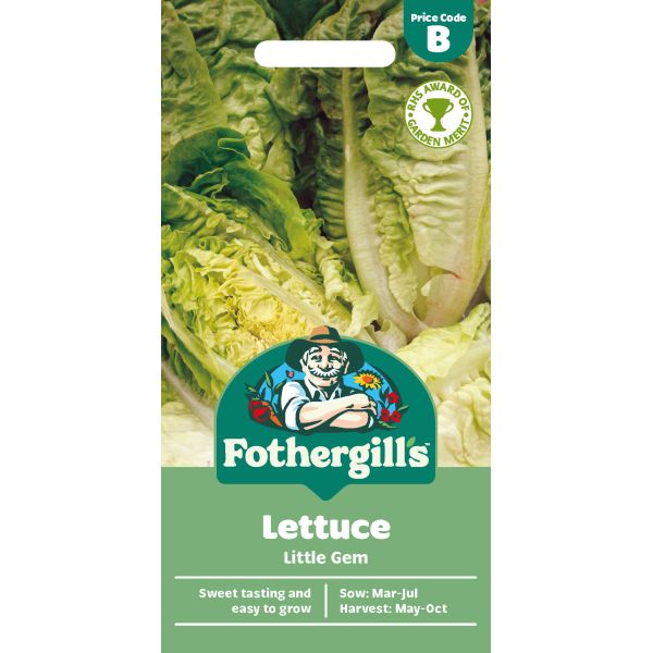Lettuce Little Gem Seeds