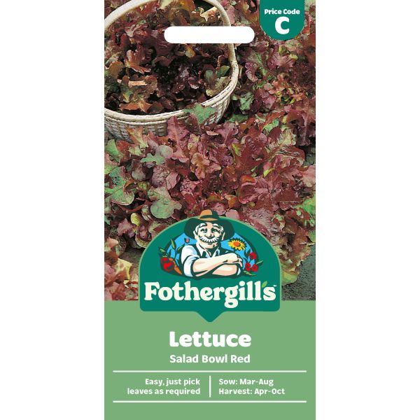 Lettuce Salad Bowl Seeds