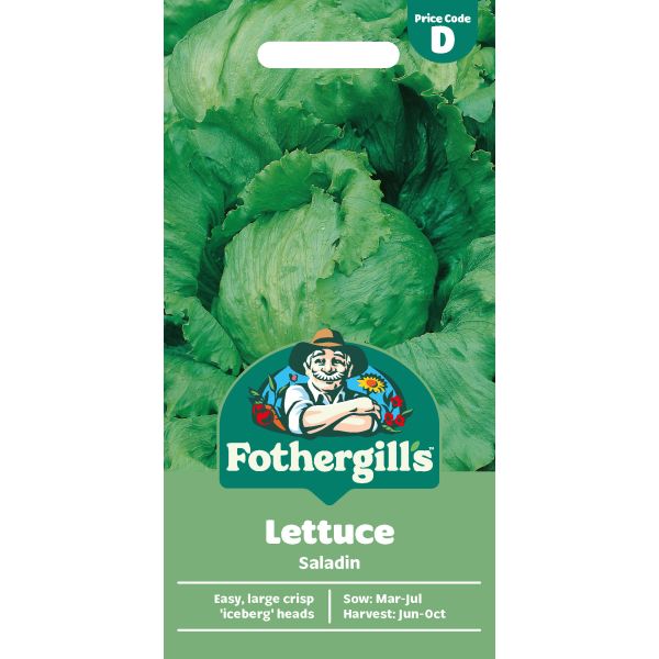 Lettuce Saladin Seeds