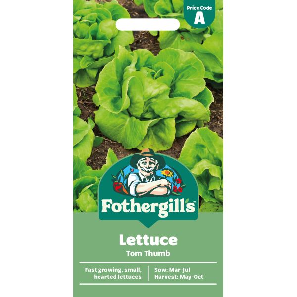 Lettuce Tom Thumb Seeds