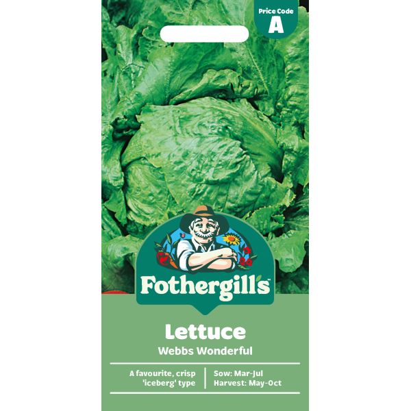 Lettuce Webbs Wonderful Seeds