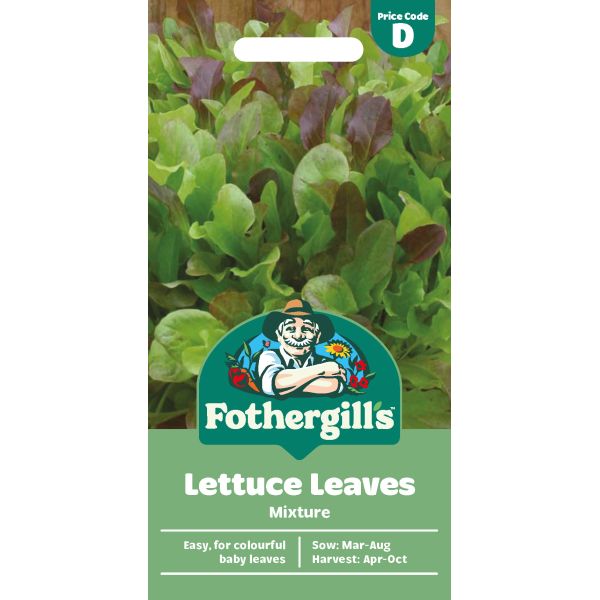 Lettuce Mixed Salad Leaves Seeds