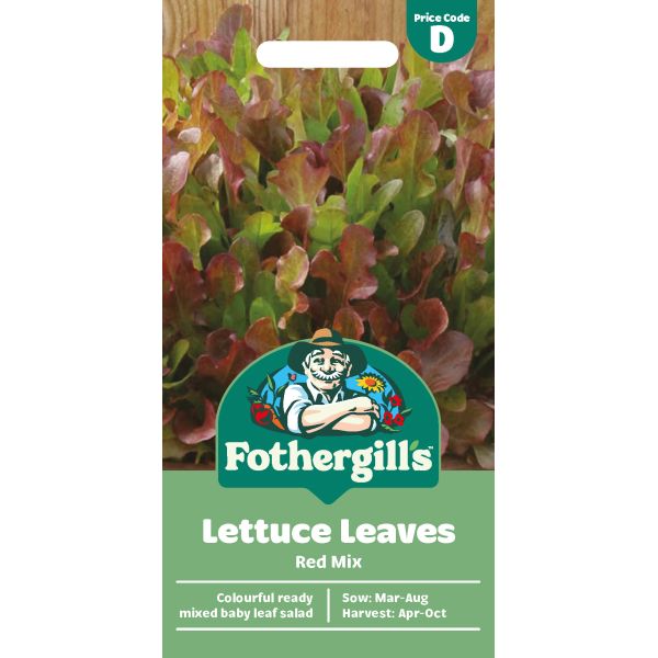 Lettuce Mixed Salad Leaves Seeds