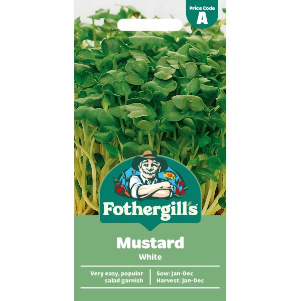 Mustard White Seeds