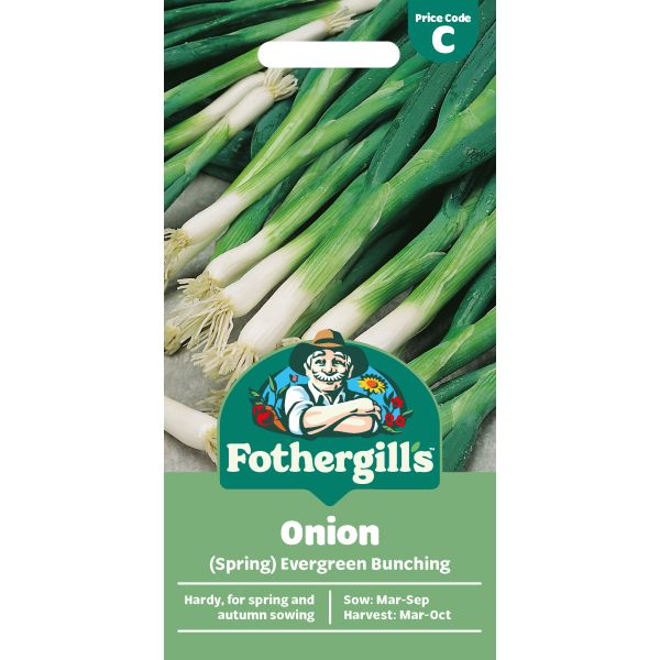 Onion (Spring) Evergreen Bunching Seeds