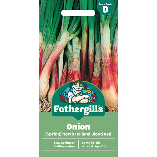Onion North Holland Blood Red Seeds