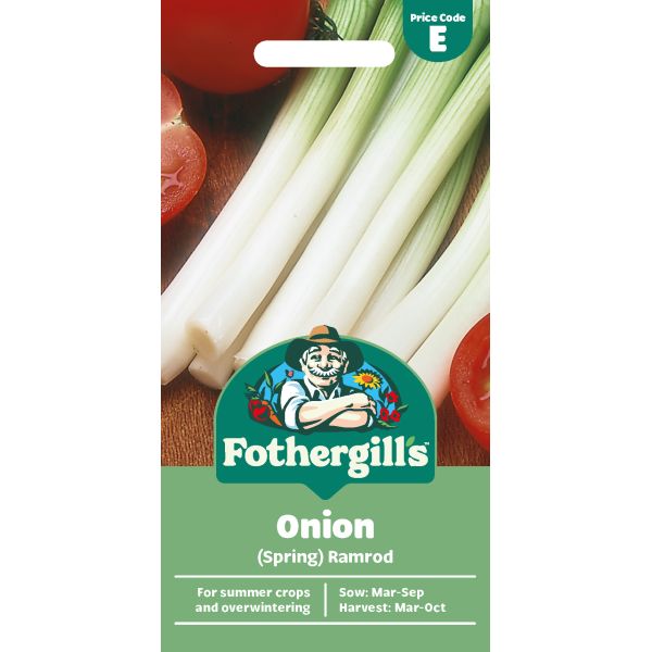 Onion Ramrod Seeds