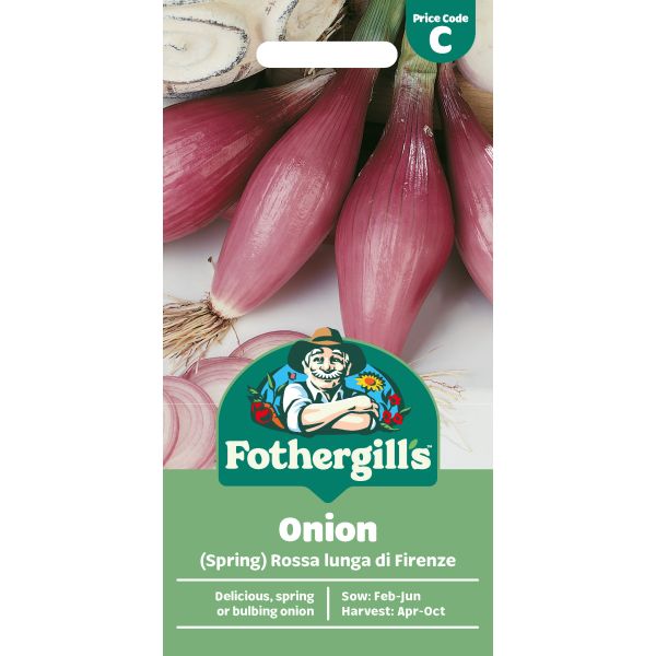 Onion Rossa lunga di Firenze Seeds