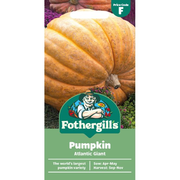 Fothergills pumpkin seed packet with a large pumpkin on a white background