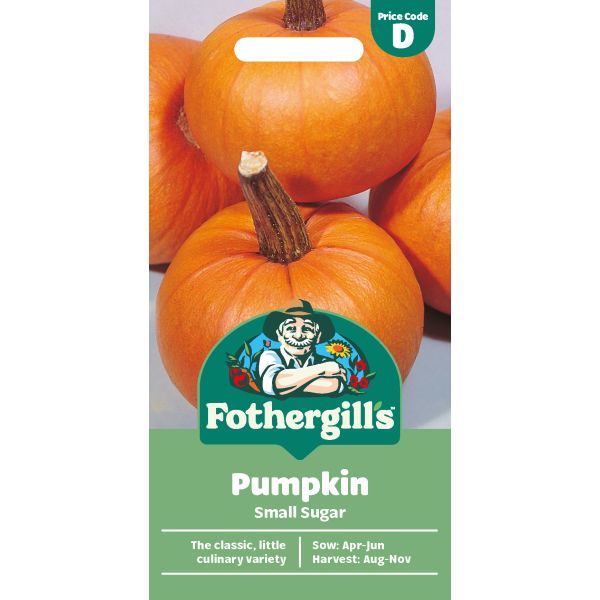 Pumpkin Small Sugar Seeds