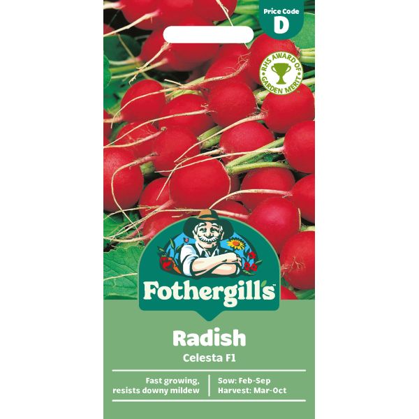 Radish Celesta F1 Seeds