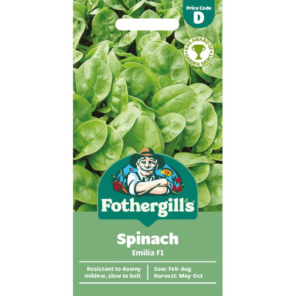 Spinach Emilia F1 Seeds